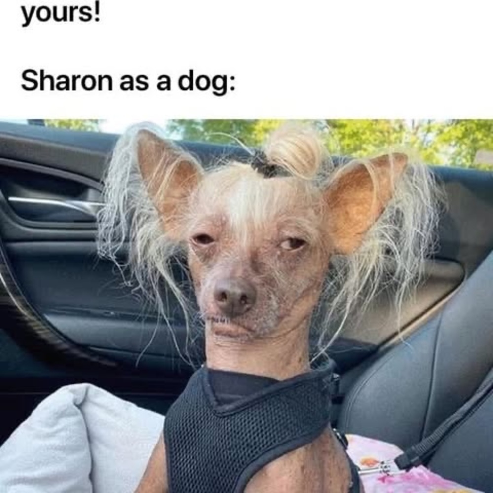 Meet your Posher, Sharon